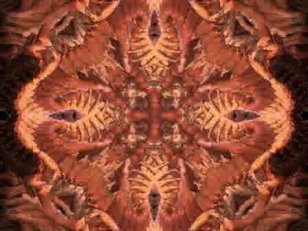 dancerMirrored1.mpg